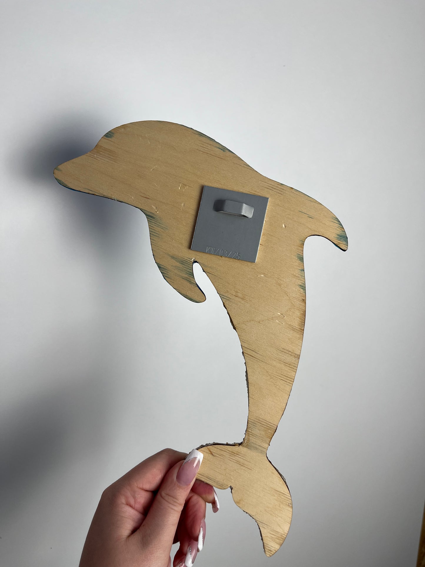 Ocean Art Wandbild - Delfin 1