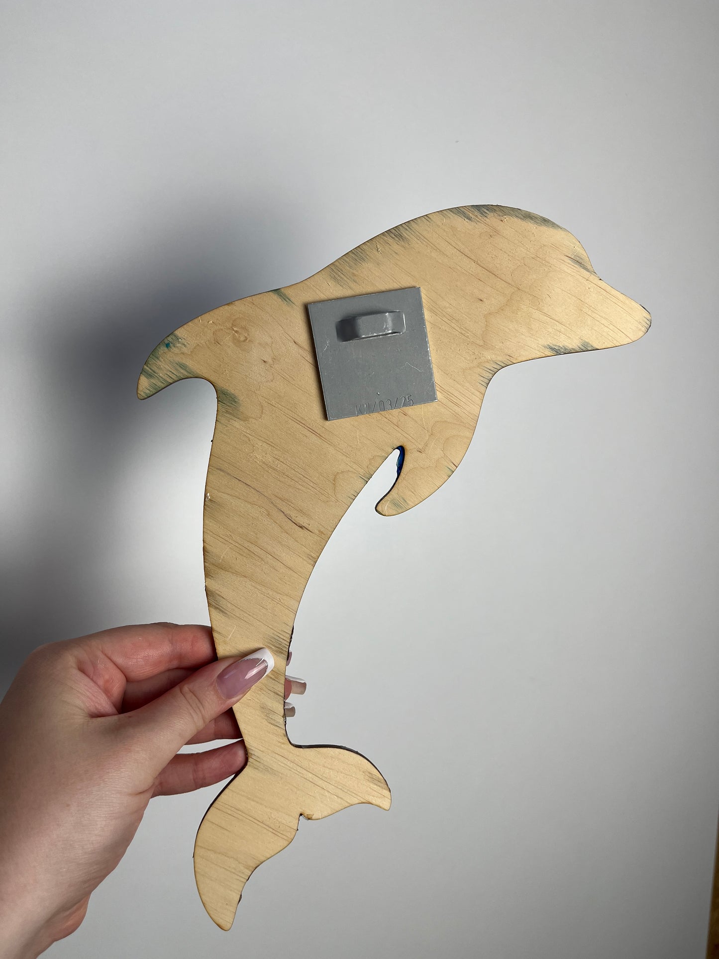 Ocean Art Wandbild - Delfin 2