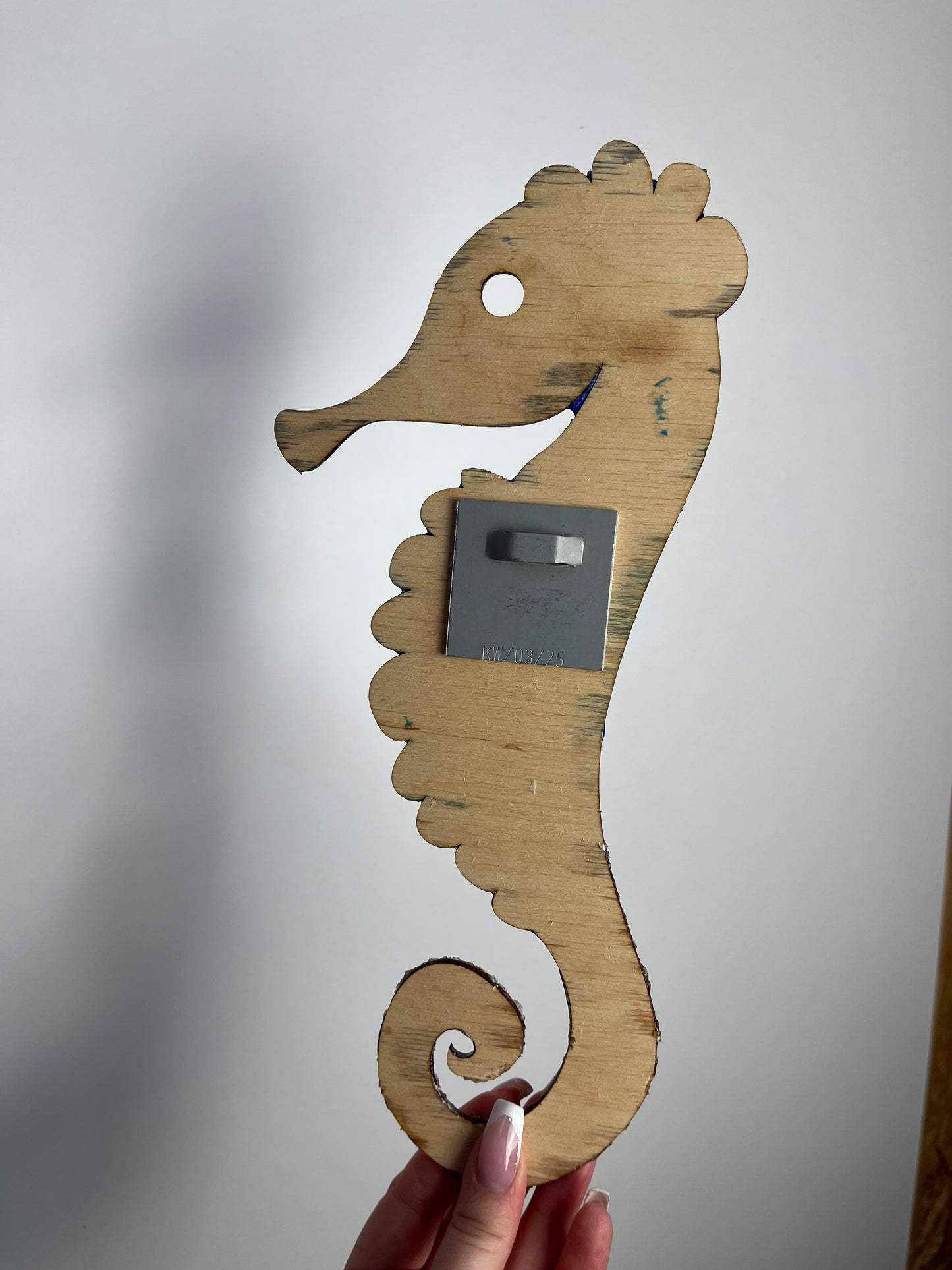 Ocean Art Wandbild - Seepferdchen