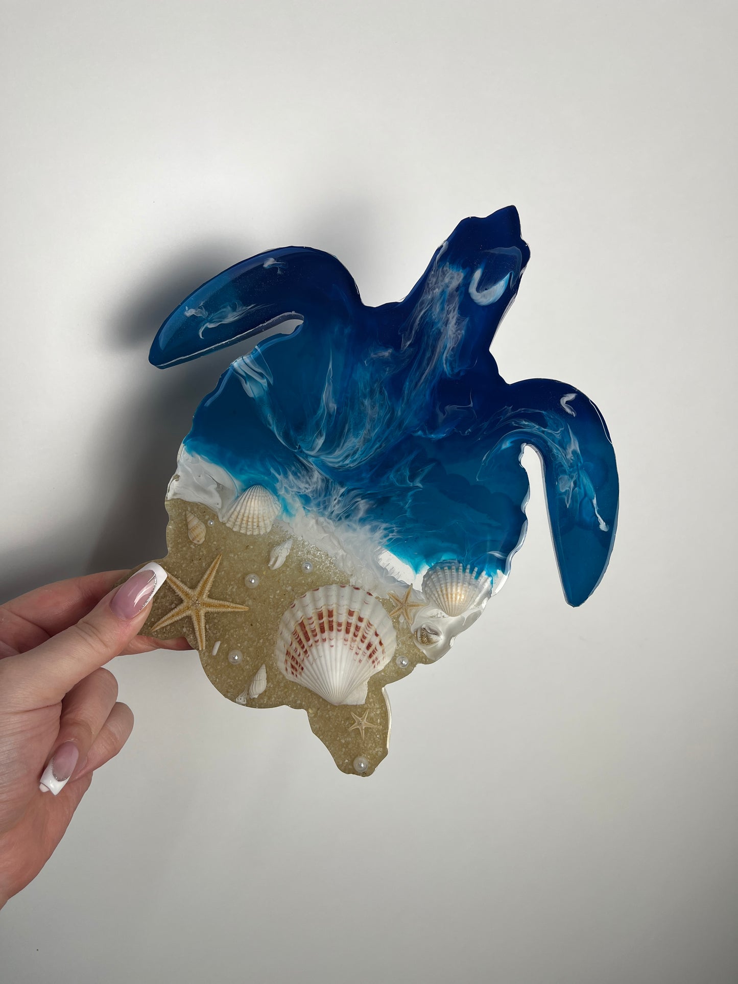 Ocean Art Wandbild - kleine Schildkröte